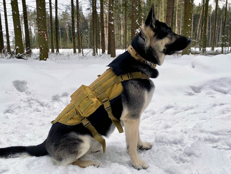 Тактический жилет для собаки
