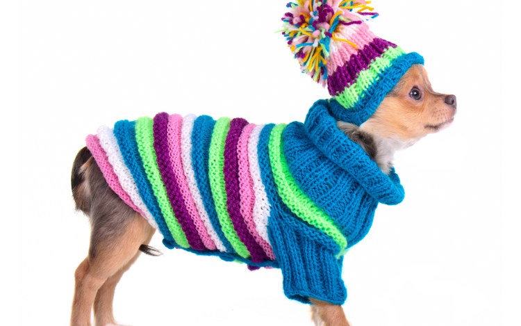 Вязаная накидка для собаки