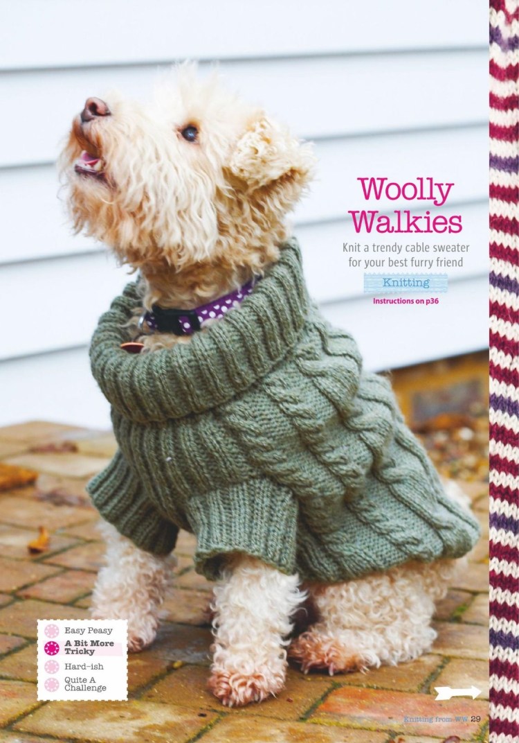 Вязаный жилет для собаки Джек Рассел