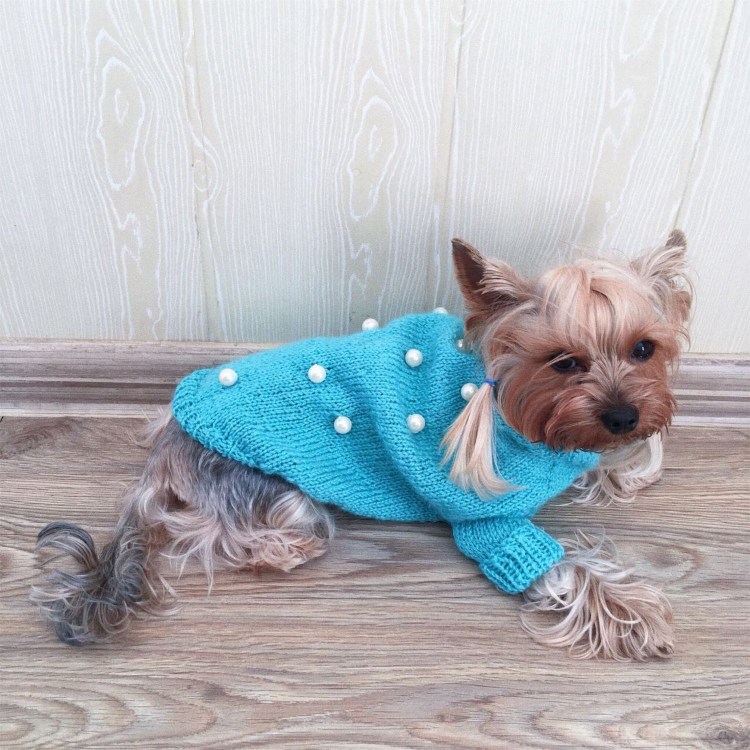 Вязаный костюм для собаки