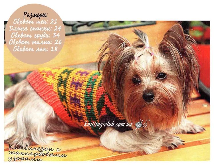 Вязаные костюмчики для собак