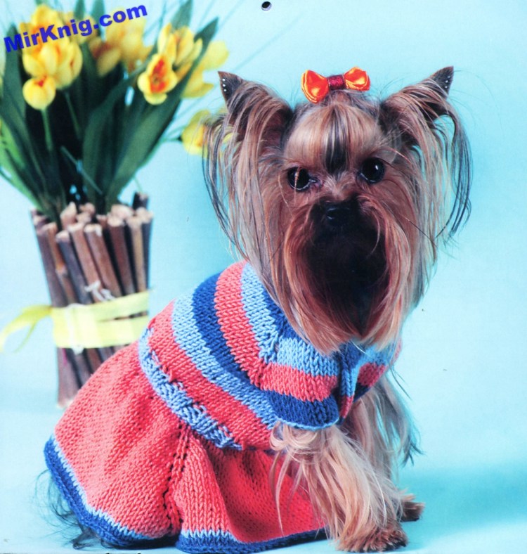 Вязаная одежда для маленьких собак