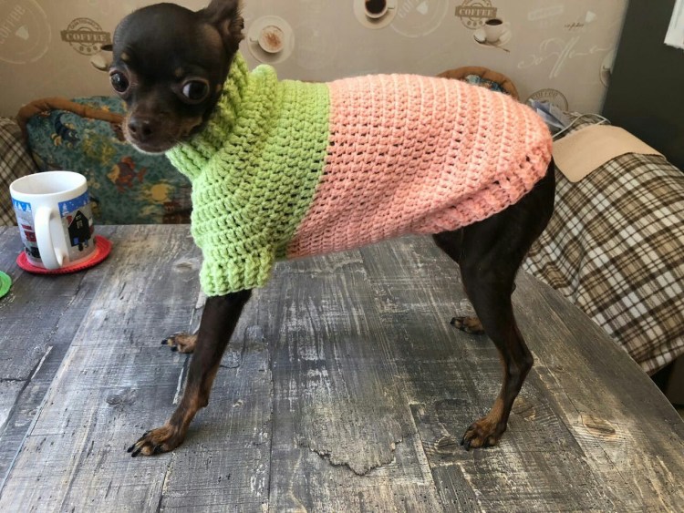 Вязаная одежда для йорков