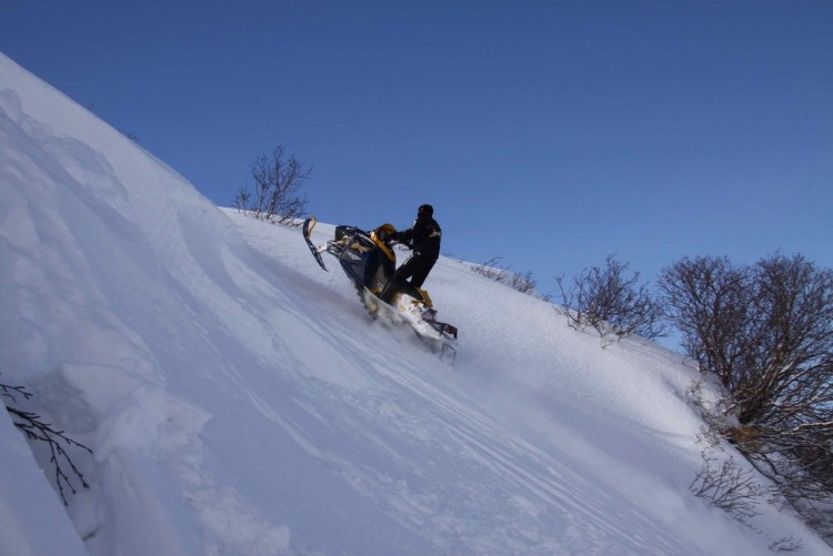 Брелок Mongoose LS 9000d