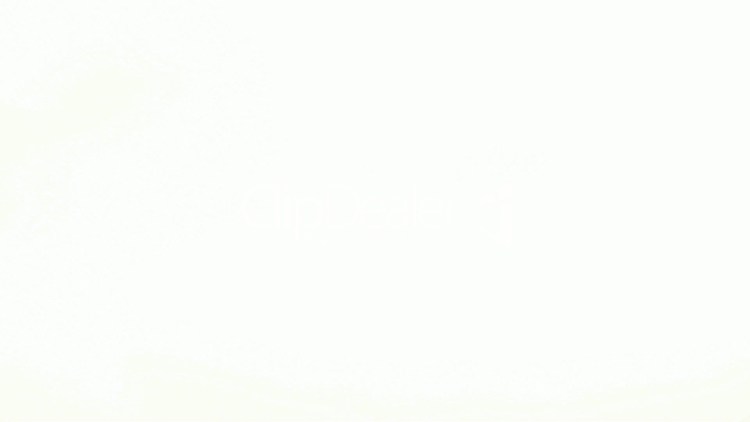 Чихуахуа Гир