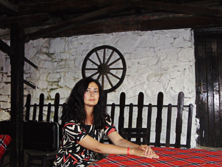 Фокстерьер на велосипеде