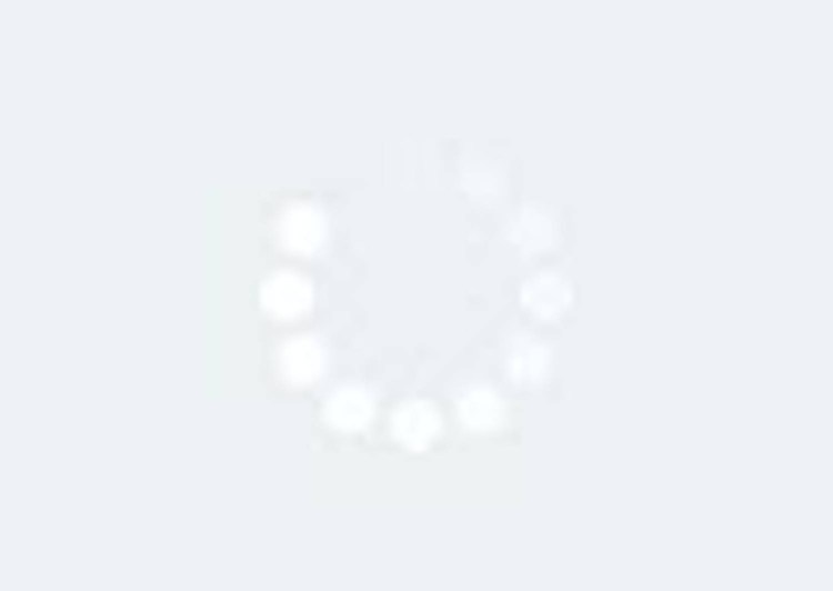 Морда волка