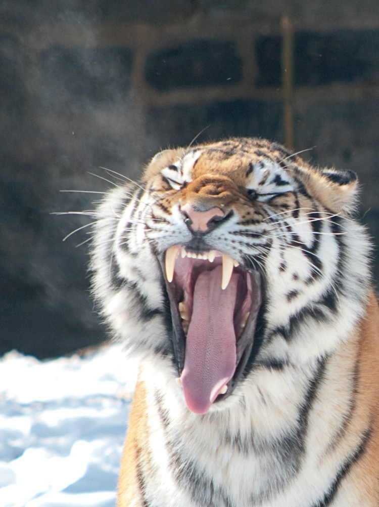 Бонни Роттен школьница