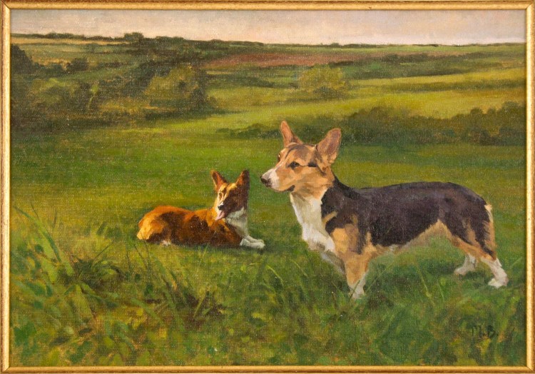 Вельш корги пастухи