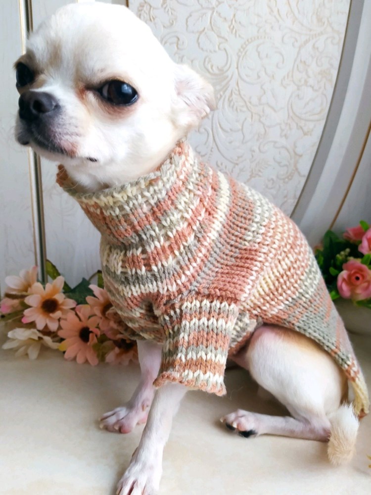 Кофта для собаки