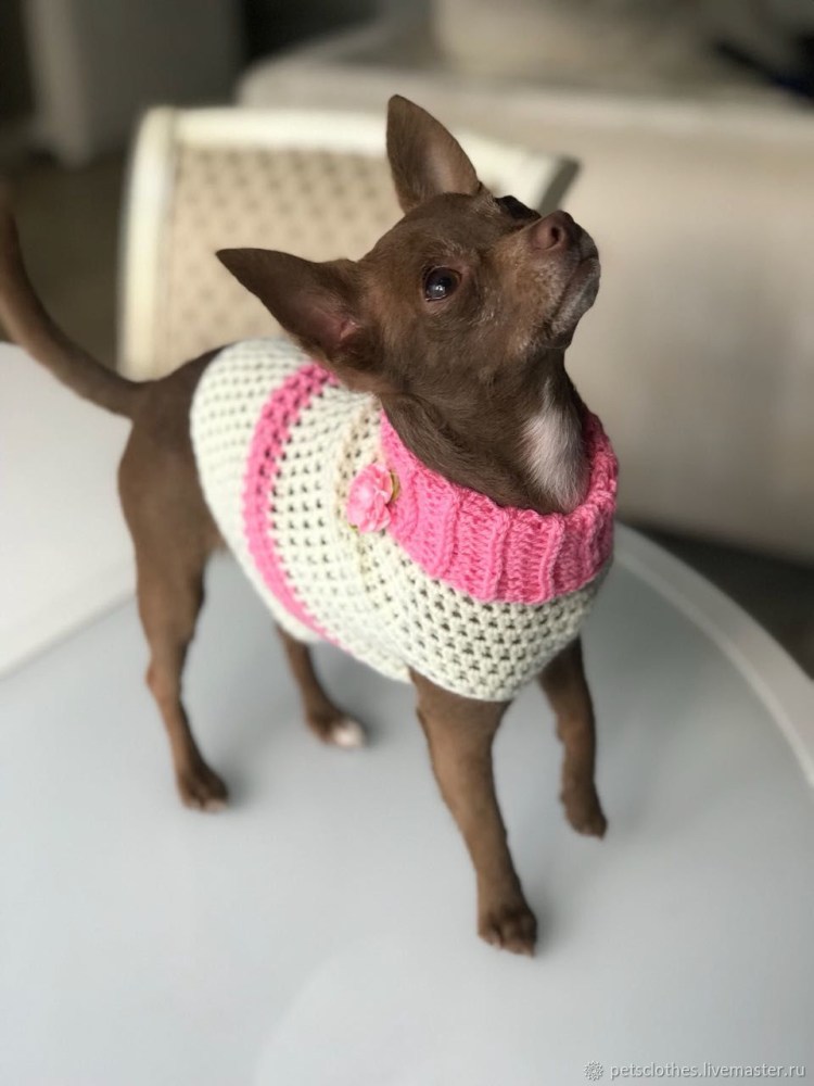 Вязаная одежда для ершиков