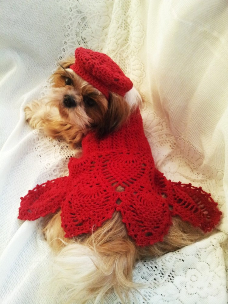 Вязаные платья для собак