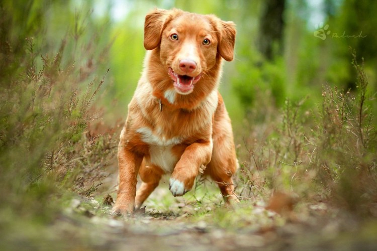 Новый Ковчег Обнинск