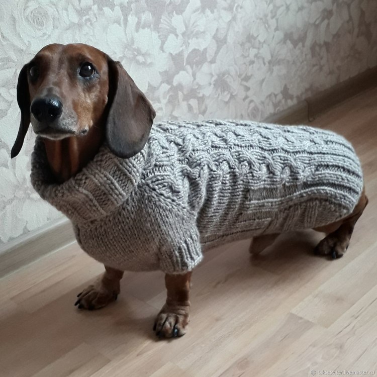 ТАКСМАГ одежда для такс