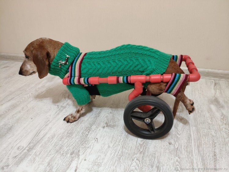 Свитер для таксы