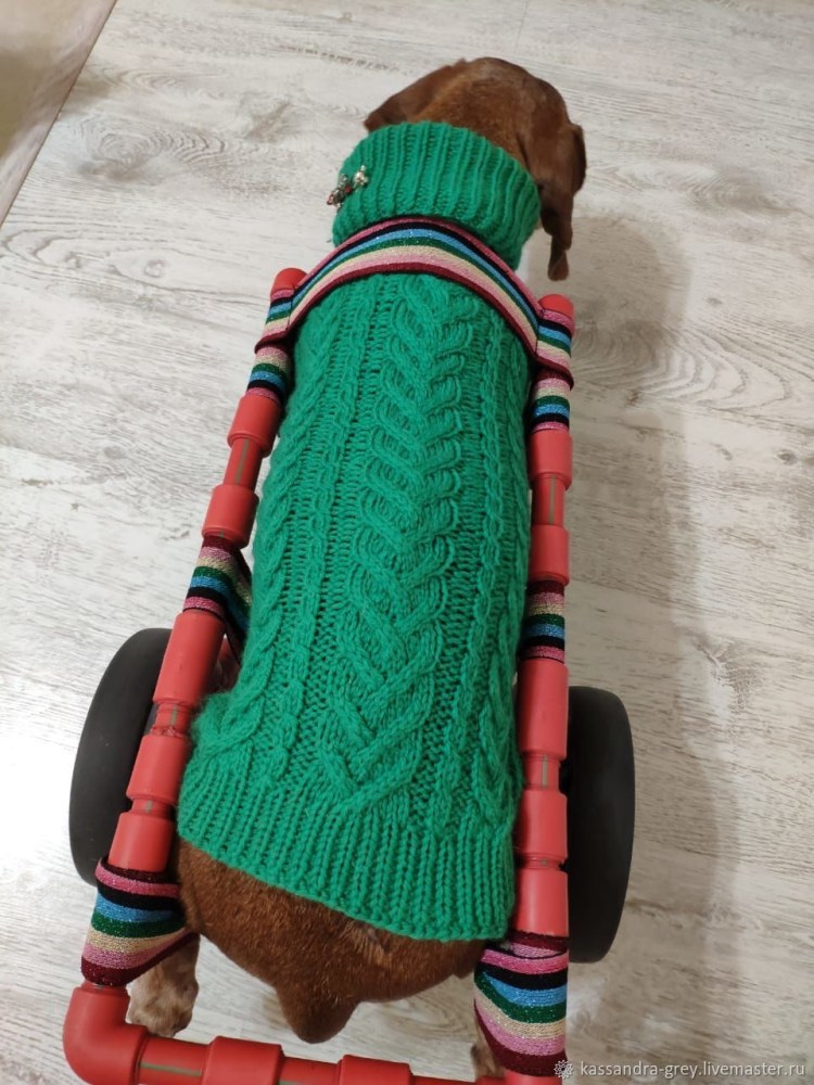 Одежда для такс ИП Радченко