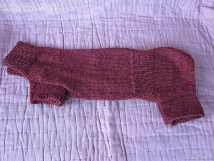 Костюмчики для таксы