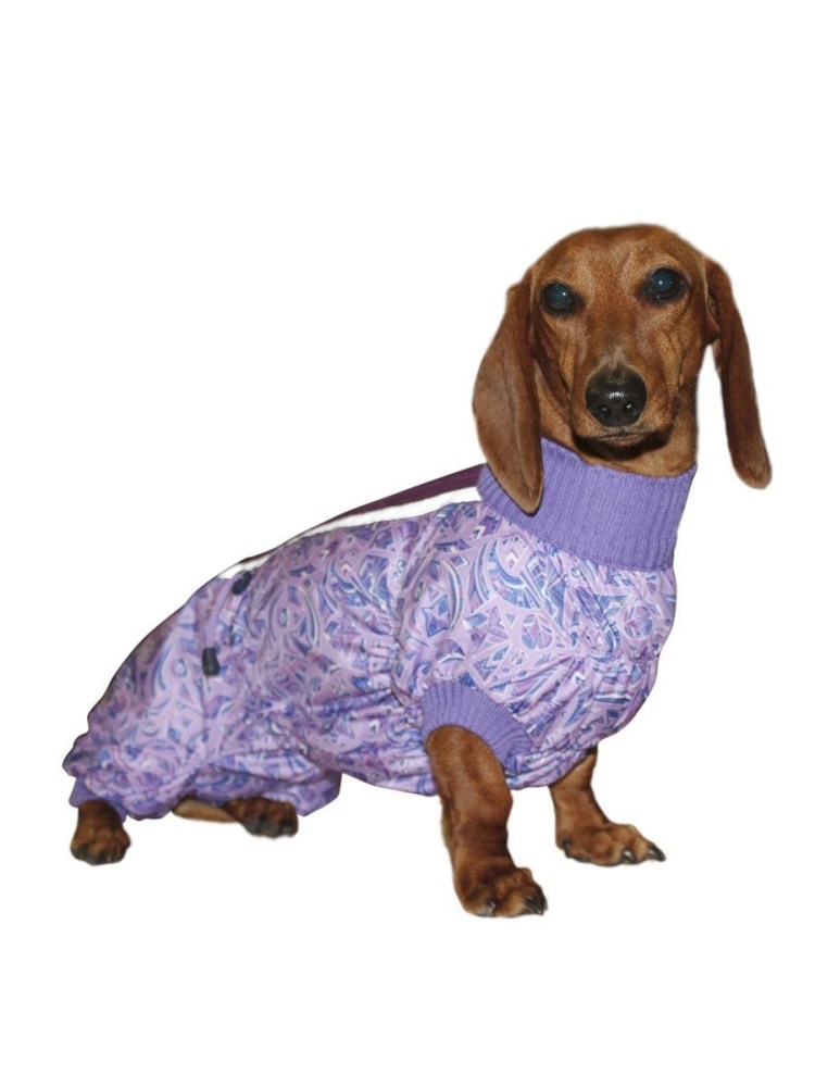 Вязаная одежда для таксы