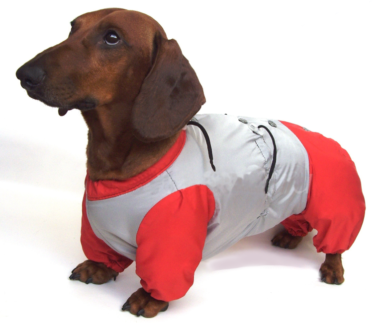 Комбинезон такса кроличья Barsu