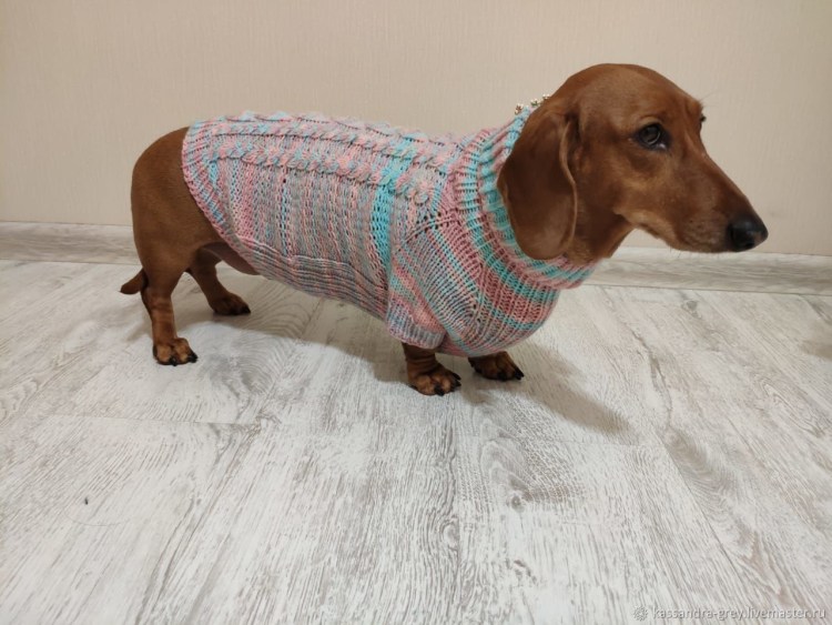 Scout джемпер таксы