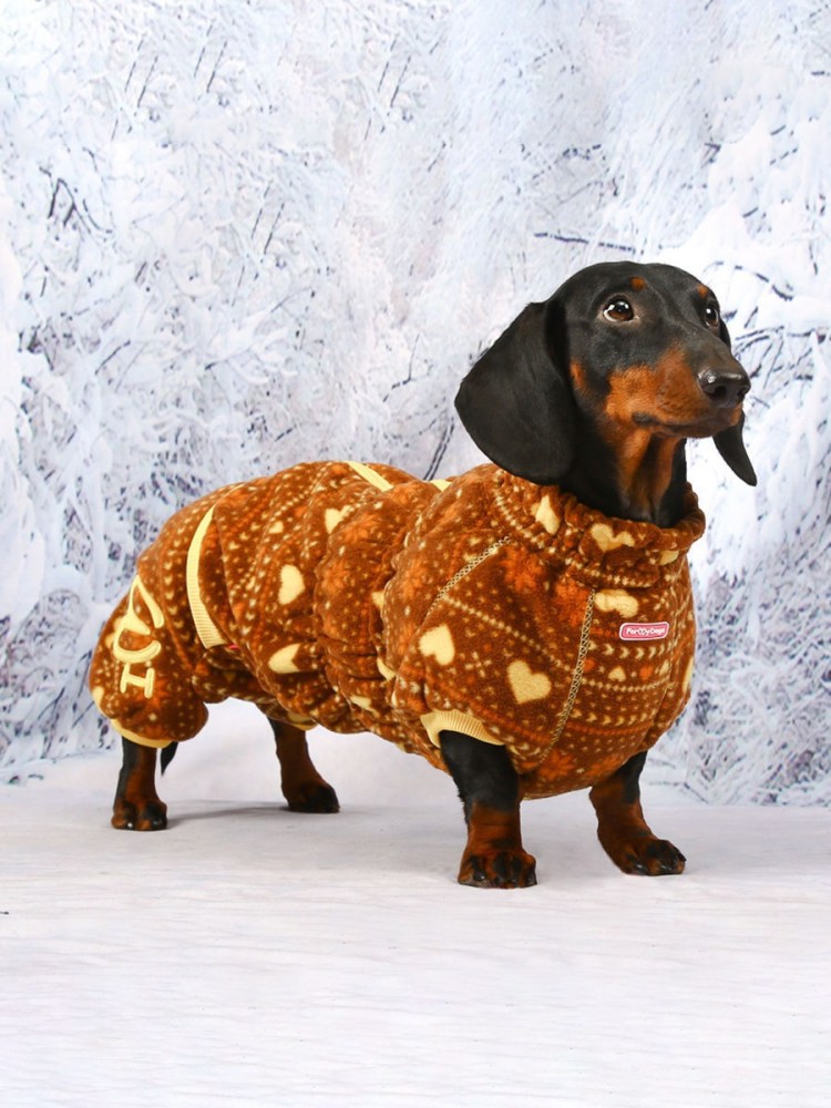 Свитер для таксы