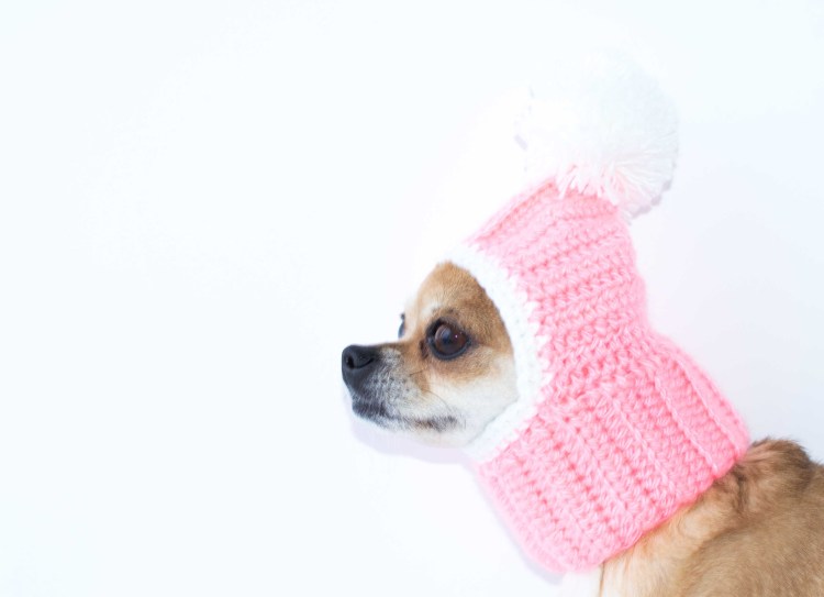 Карбюратор leader pz19jb