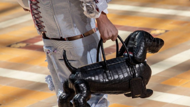 Смешная одежда для такс