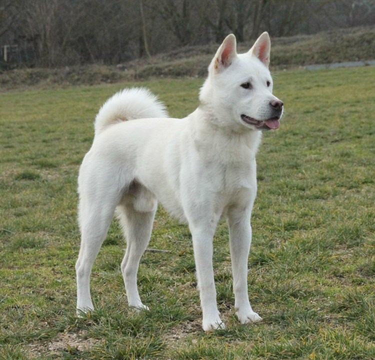 Моисеево чудо острова Чиндо Южная Корея