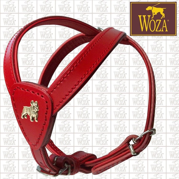 Ошейник цепочка для французского бульдога