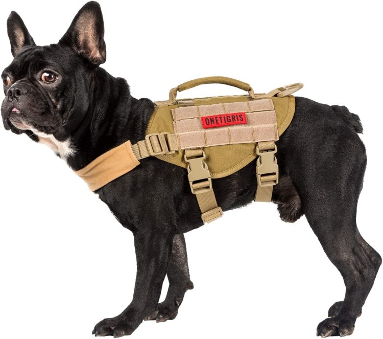 Шлейка Ponti primo Plus м оранжевая