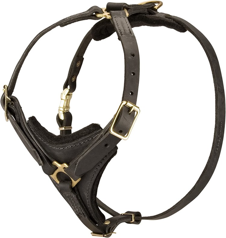 Шлейка для французского бульдога своими руками