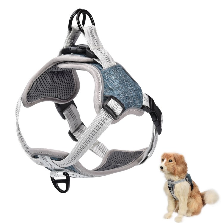 Harness as-Rear перевод