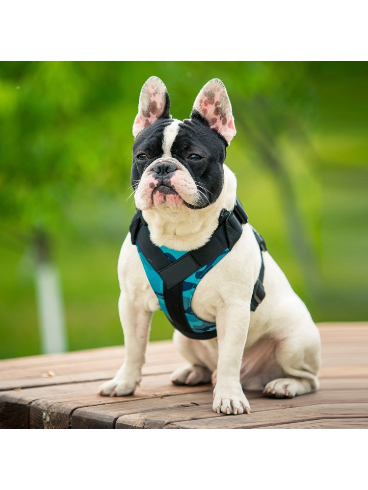 Шлейка для французского бульдога Frenchie