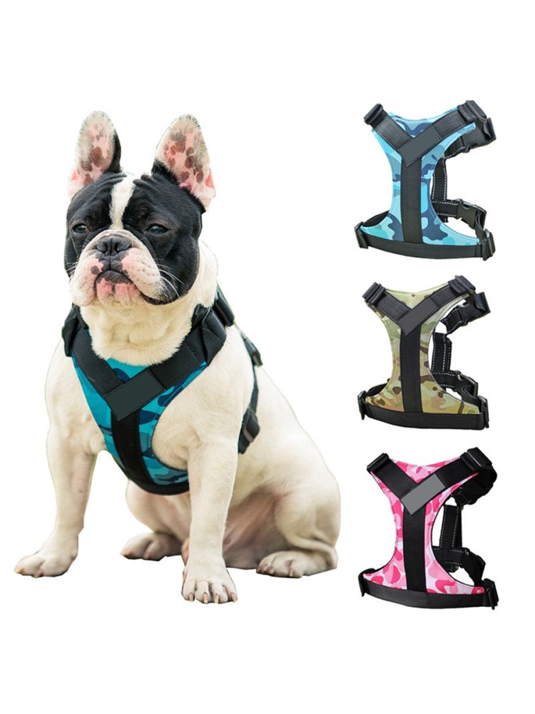 Frenchie шлейки