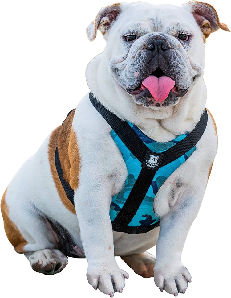 Шлейка для собак Coralpina