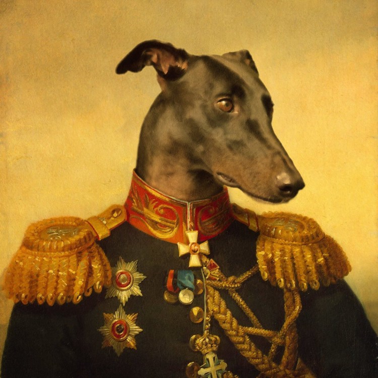 Дворянин собака