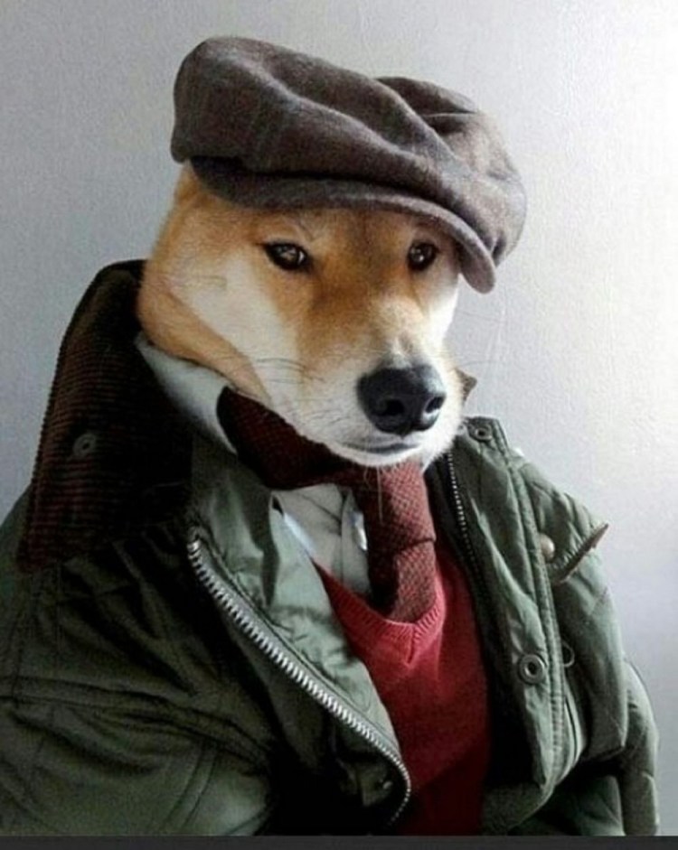 Dogwifhat Joseph