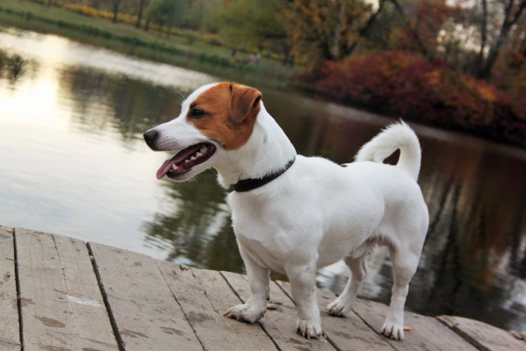 Фрэнк люди в черном