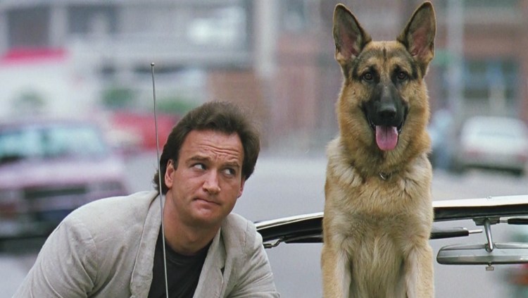 Сергей Безруков мент