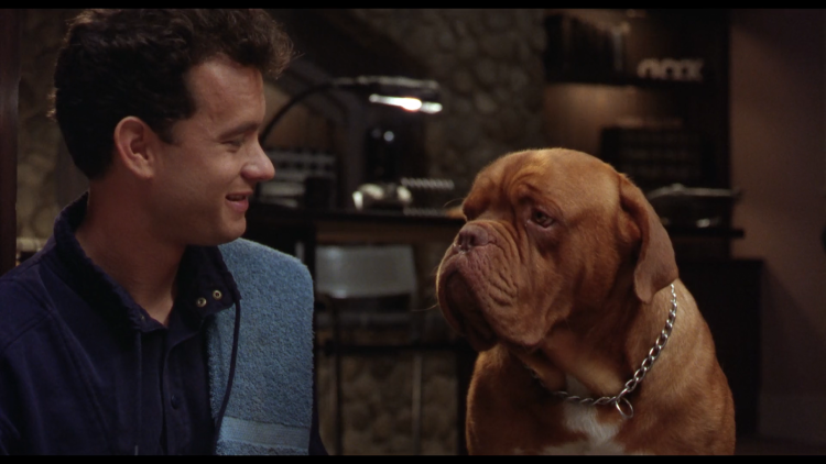 Особенные песики