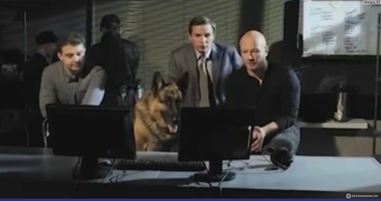 Болезни собаки породы боксер