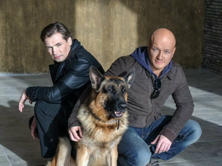 Саша белый и мастиф