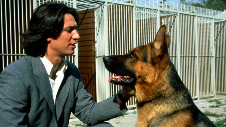 Гедеон Буркхард комиссар рекс