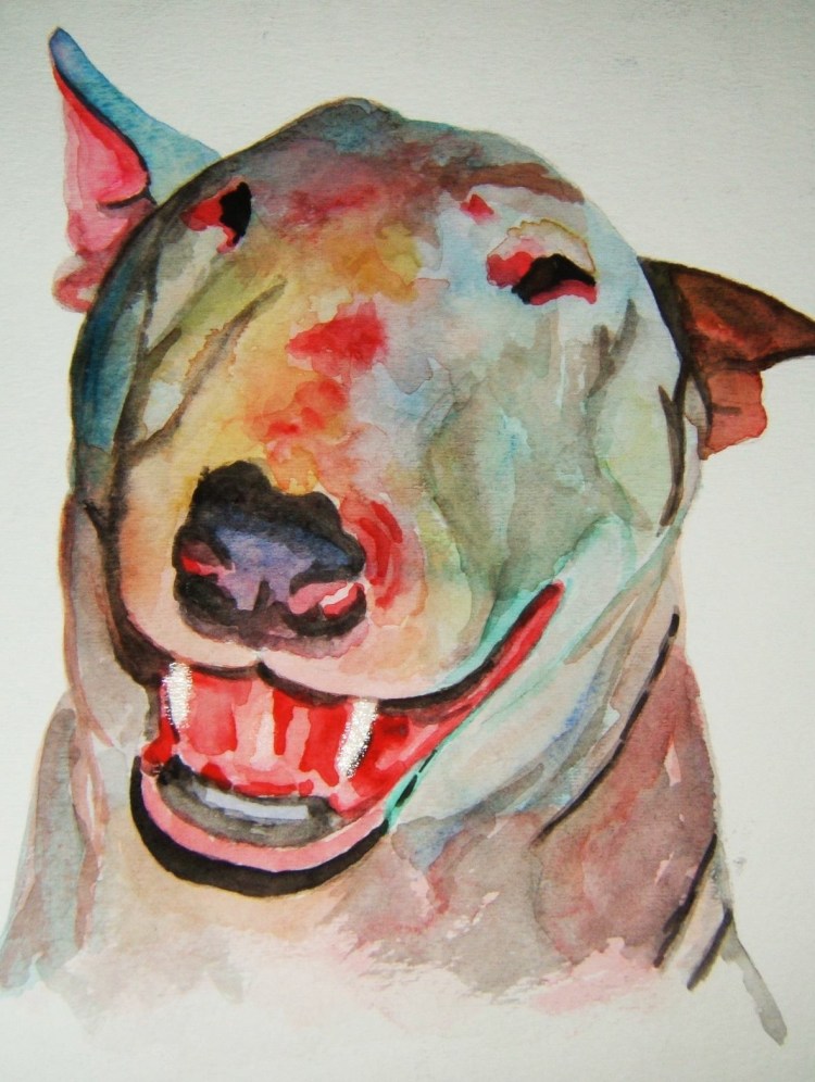 Аргентинский бультерьер