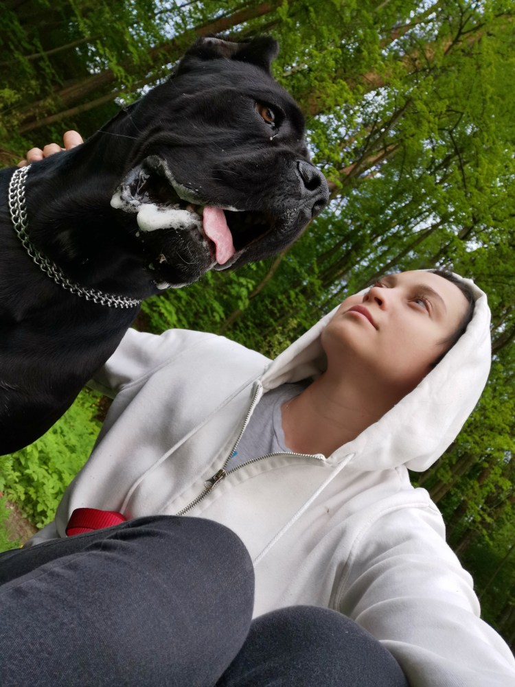 Самый большой Кане Корсо