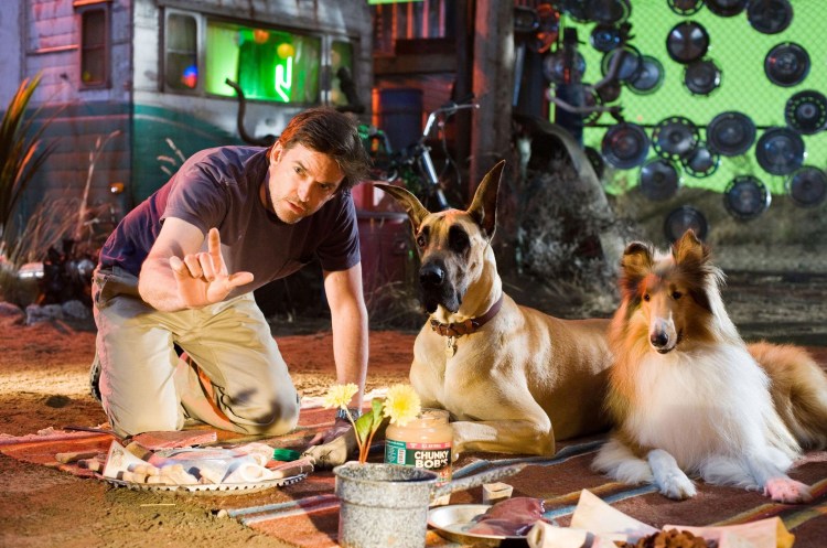 Датский дог Мармадюк