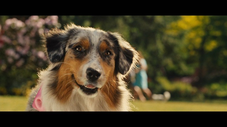 Мармадюк и Мэйзи