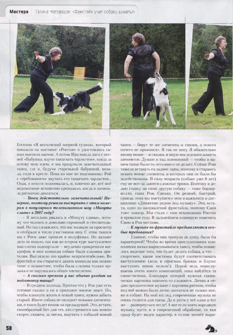 Как научить собаку танцевать