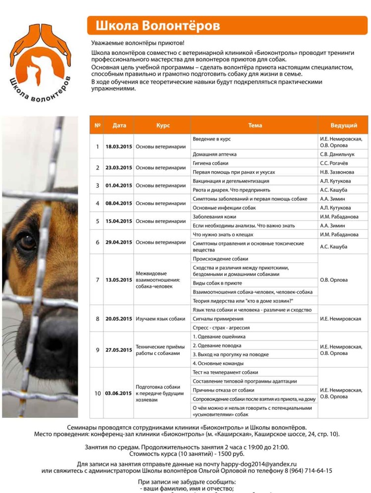 Список команд для щенка