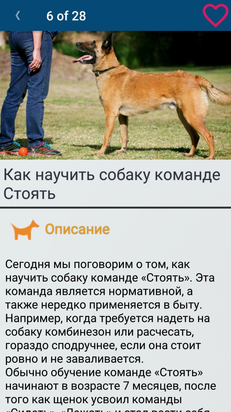 Как научить собаку КАМАЗЕ